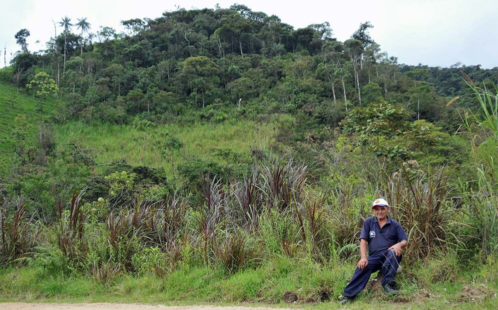 José Jiménez, de 81 años, posa y a su espalda están las hectáreas de bosque que le pertenecen, en una montaña que está a unos 100 metros de su casa, en San Andrés.
FOTO: Jonathan Palma